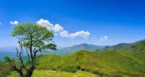 《楚留香重阳宴饮周天匣获取方法大揭秘》（游戏攻略）