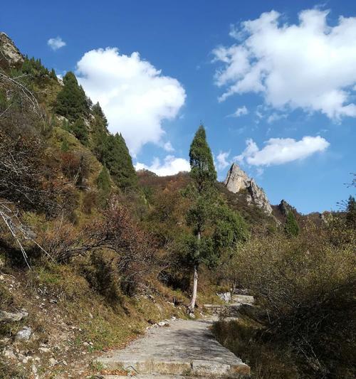 《穿越火线手游》邂逅西南岛屿三岔路口打法进阶教学（全面掌握游戏技巧）